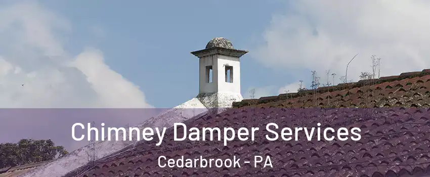 Chimney Damper Services Cedarbrook - PA
