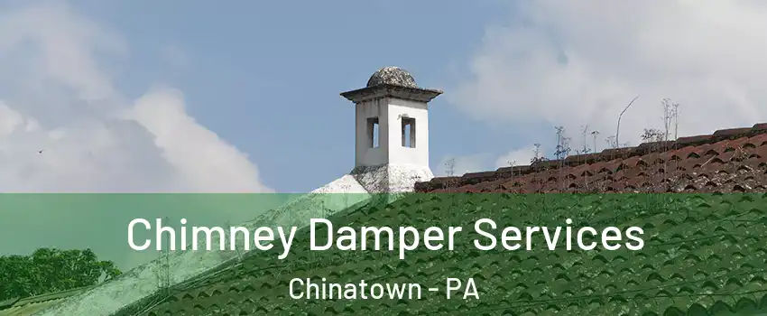 Chimney Damper Services Chinatown - PA