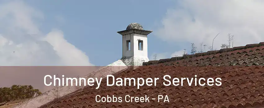 Chimney Damper Services Cobbs Creek - PA