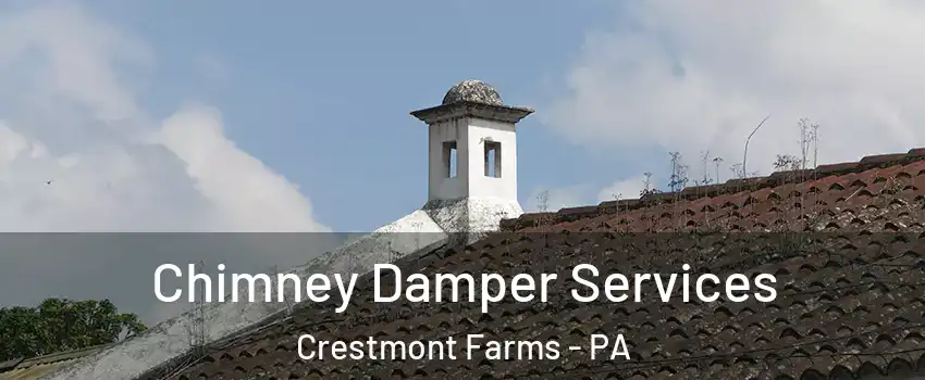 Chimney Damper Services Crestmont Farms - PA