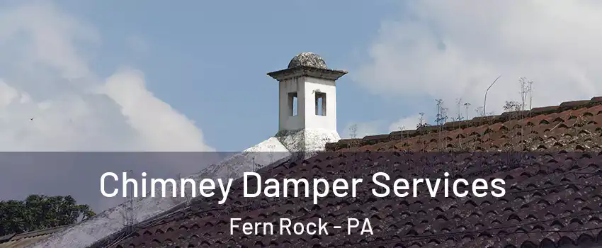 Chimney Damper Services Fern Rock - PA