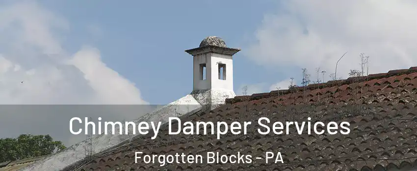 Chimney Damper Services Forgotten Blocks - PA