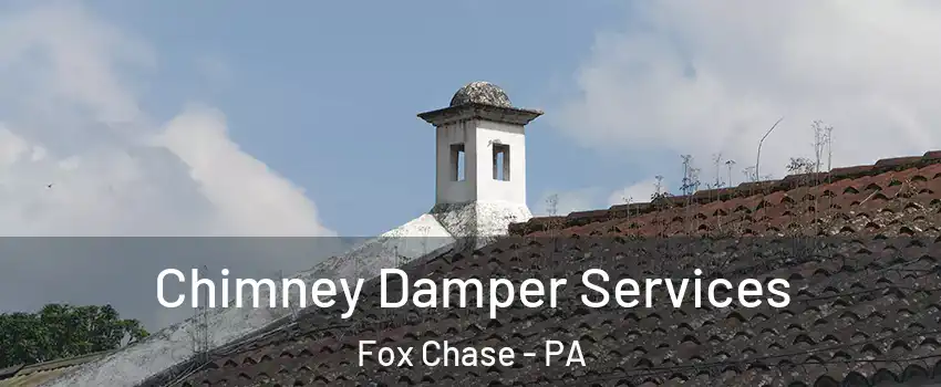 Chimney Damper Services Fox Chase - PA