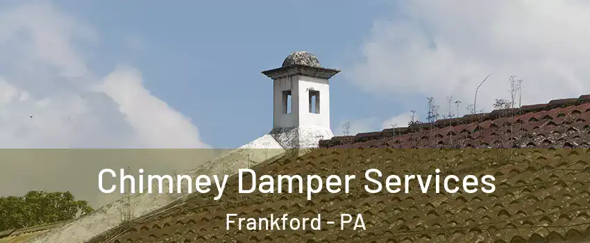 Chimney Damper Services Frankford - PA
