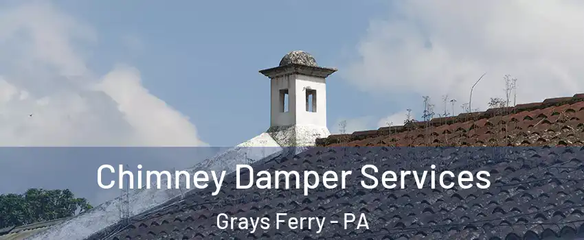 Chimney Damper Services Grays Ferry - PA