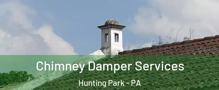 Chimney Damper Services Hunting Park - PA