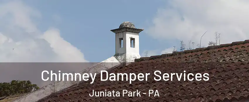 Chimney Damper Services Juniata Park - PA
