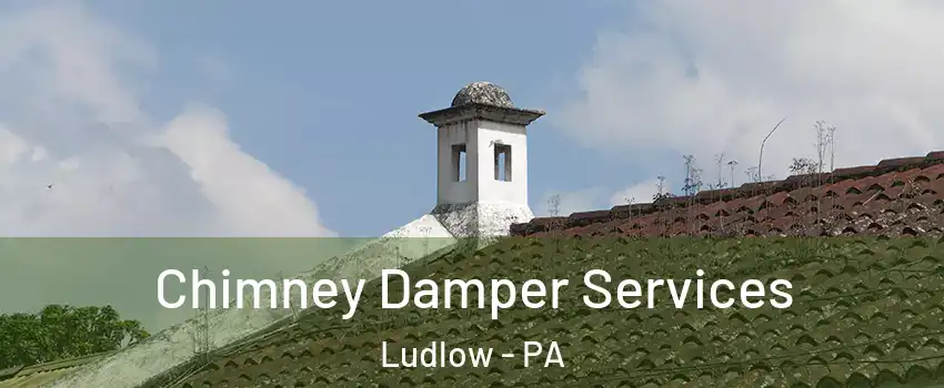 Chimney Damper Services Ludlow - PA