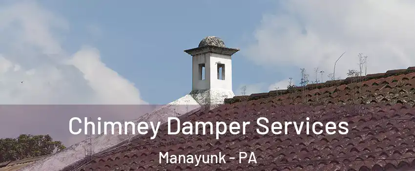 Chimney Damper Services Manayunk - PA