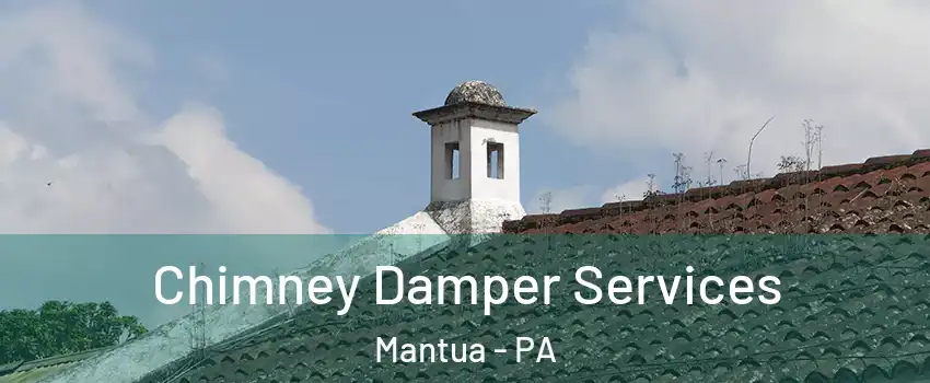 Chimney Damper Services Mantua - PA