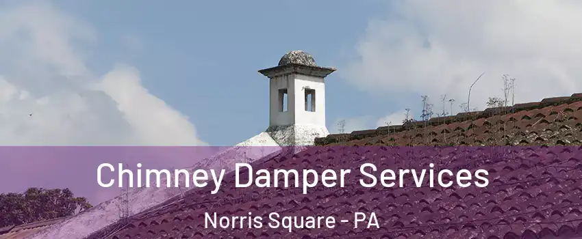 Chimney Damper Services Norris Square - PA