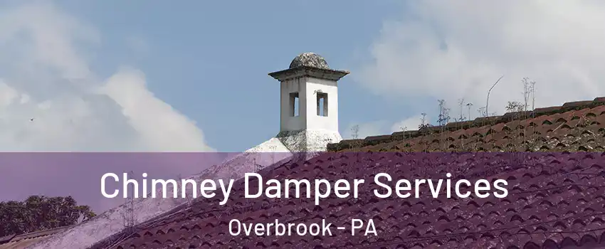 Chimney Damper Services Overbrook - PA