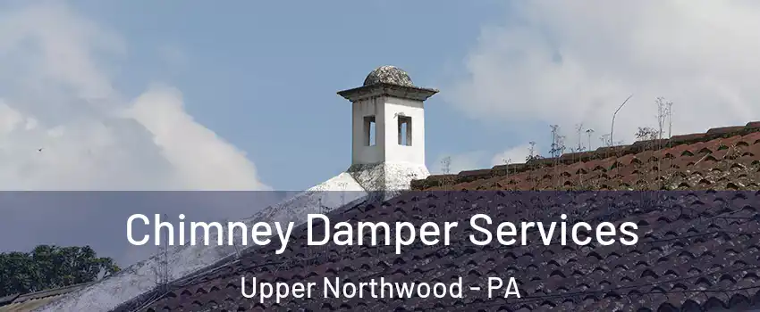 Chimney Damper Services Upper Northwood - PA
