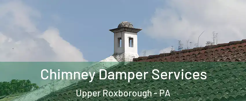 Chimney Damper Services Upper Roxborough - PA