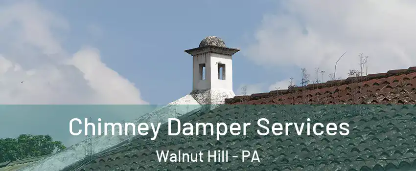 Chimney Damper Services Walnut Hill - PA