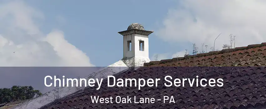 Chimney Damper Services West Oak Lane - PA