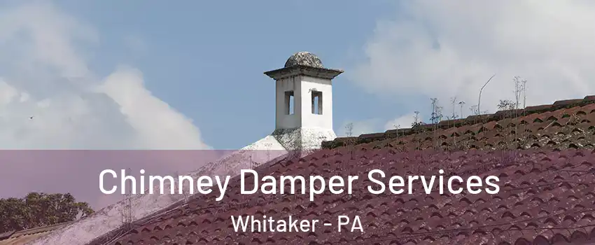 Chimney Damper Services Whitaker - PA