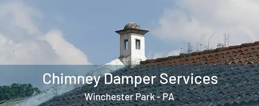 Chimney Damper Services Winchester Park - PA