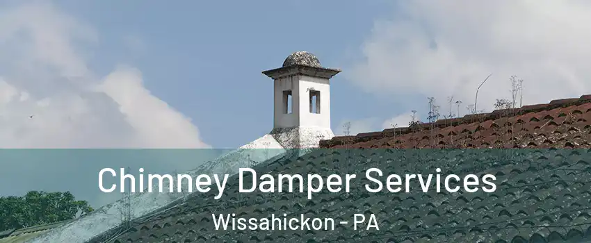 Chimney Damper Services Wissahickon - PA