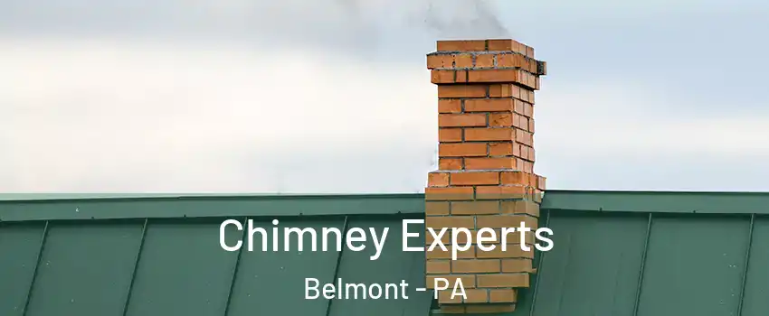 Chimney Experts Belmont - PA