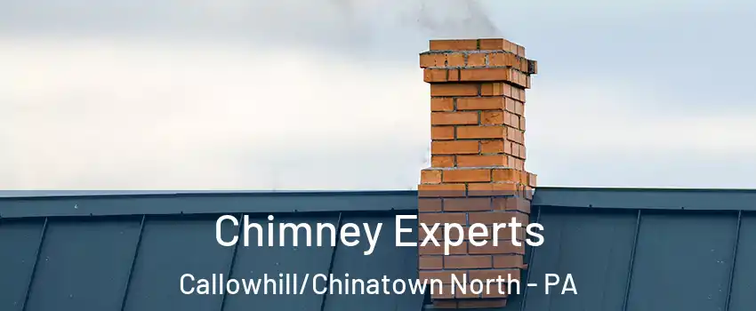 Chimney Experts Callowhill/Chinatown North - PA