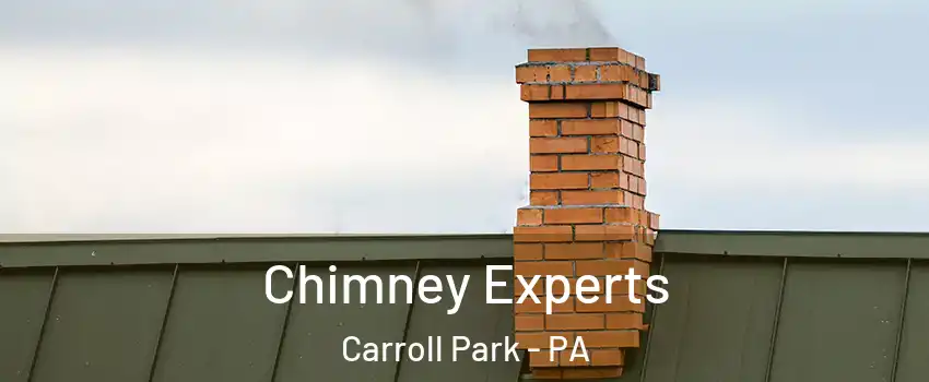 Chimney Experts Carroll Park - PA