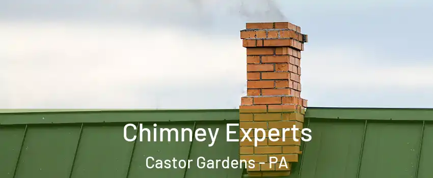 Chimney Experts Castor Gardens - PA