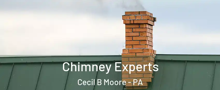 Chimney Experts Cecil B Moore - PA
