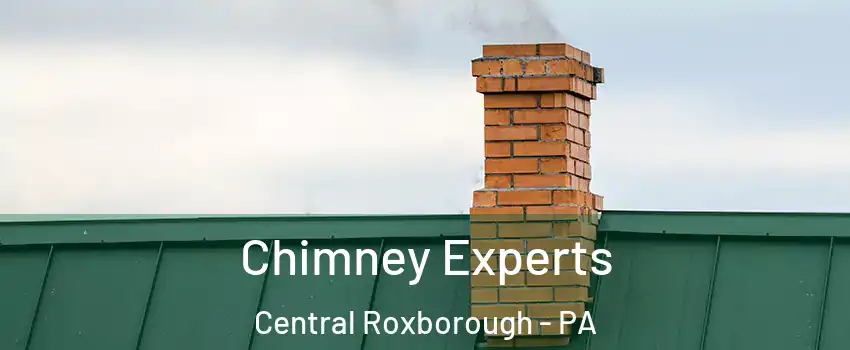 Chimney Experts Central Roxborough - PA