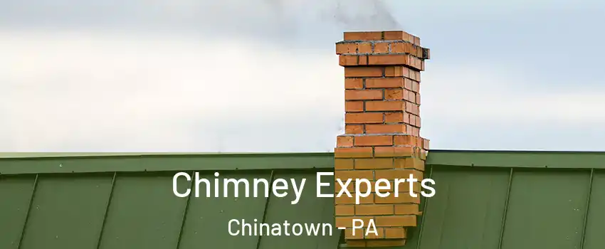 Chimney Experts Chinatown - PA