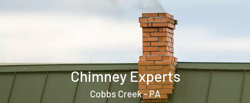 Chimney Experts Cobbs Creek - PA