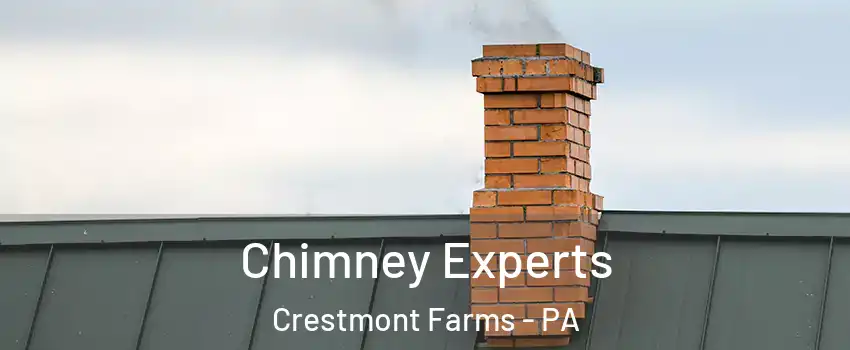 Chimney Experts Crestmont Farms - PA