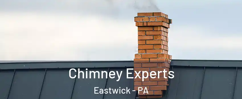 Chimney Experts Eastwick - PA