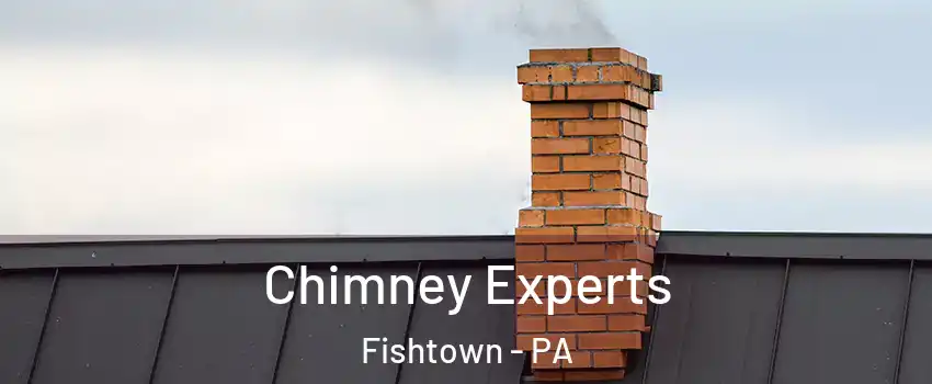 Chimney Experts Fishtown - PA