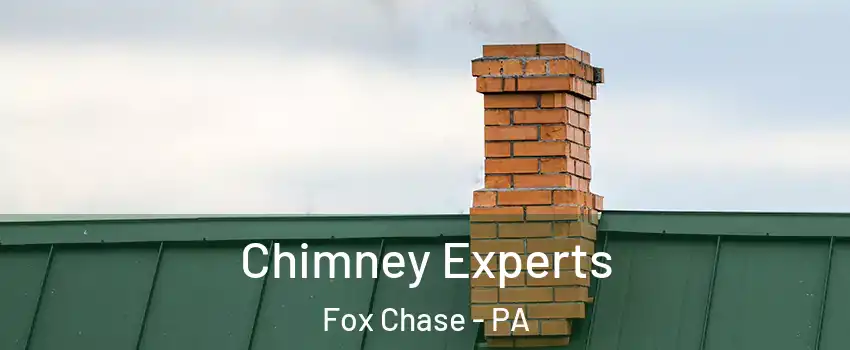 Chimney Experts Fox Chase - PA