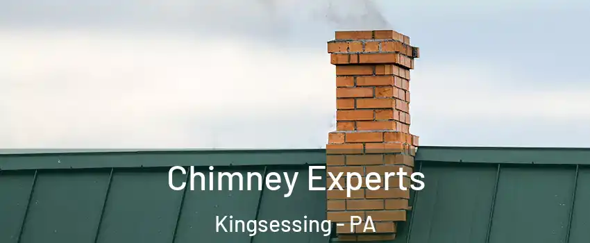 Chimney Experts Kingsessing - PA