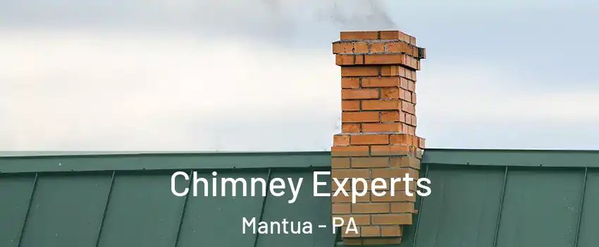 Chimney Experts Mantua - PA