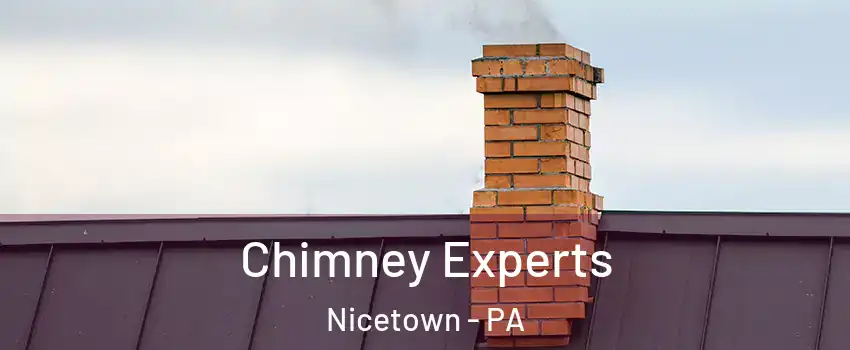 Chimney Experts Nicetown - PA