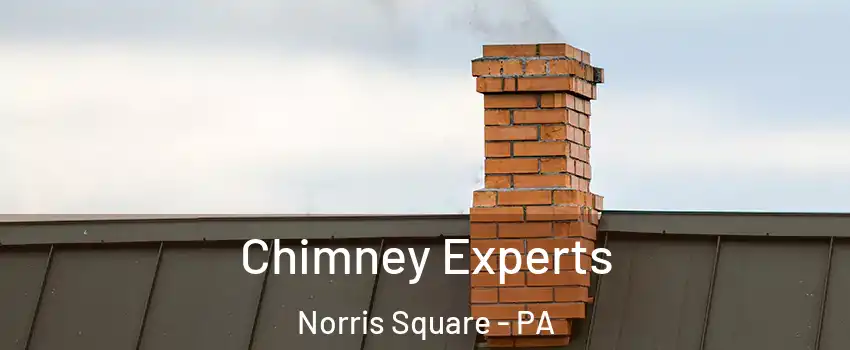 Chimney Experts Norris Square - PA