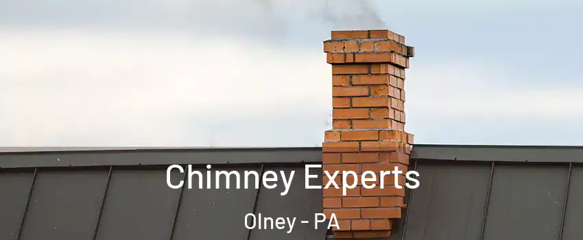 Chimney Experts Olney - PA