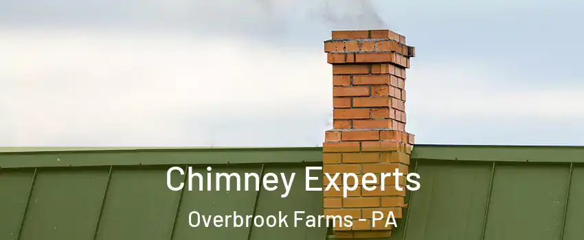 Chimney Experts Overbrook Farms - PA