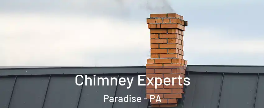 Chimney Experts Paradise - PA