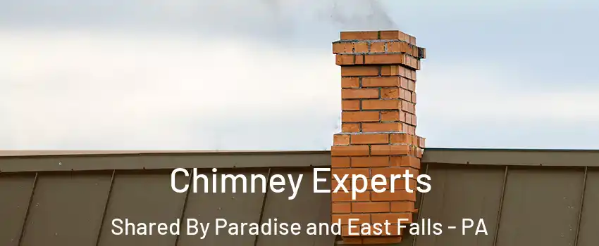 Chimney Experts Shared By Paradise and East Falls - PA