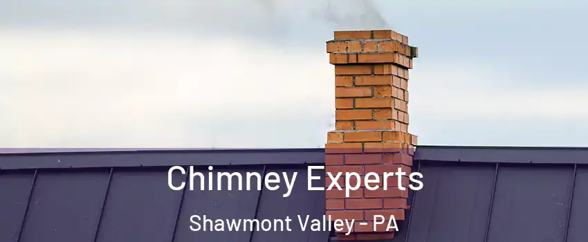 Chimney Experts Shawmont Valley - PA