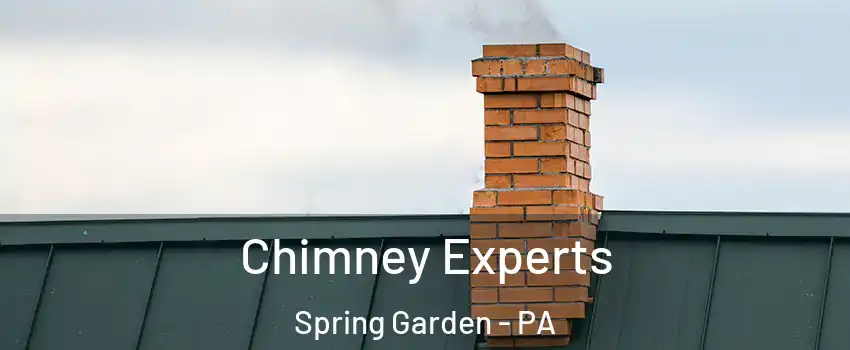 Chimney Experts Spring Garden - PA