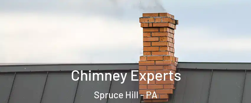 Chimney Experts Spruce Hill - PA