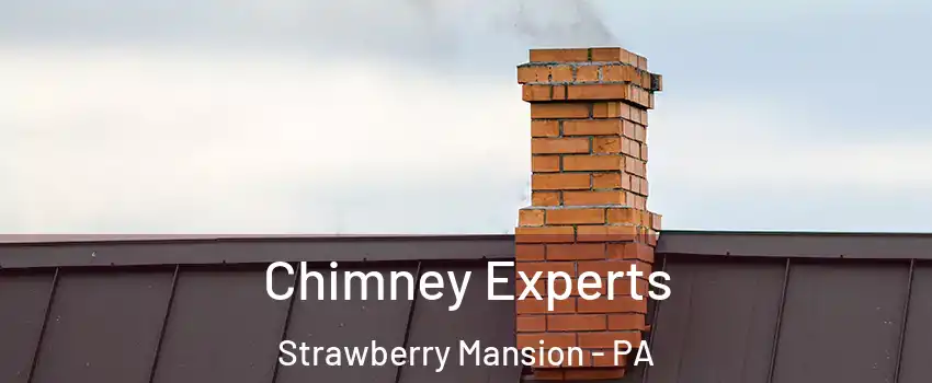 Chimney Experts Strawberry Mansion - PA