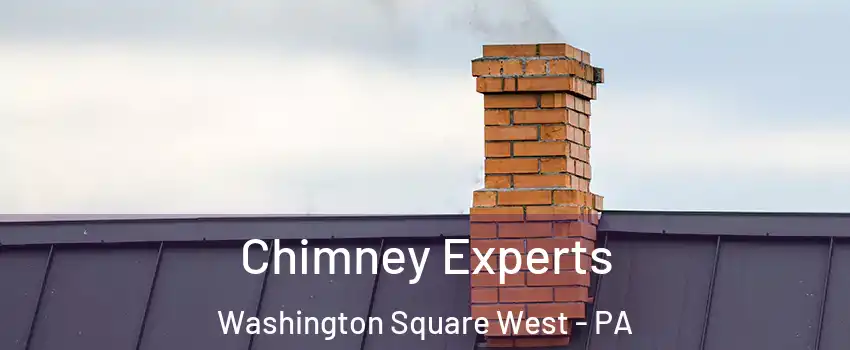Chimney Experts Washington Square West - PA