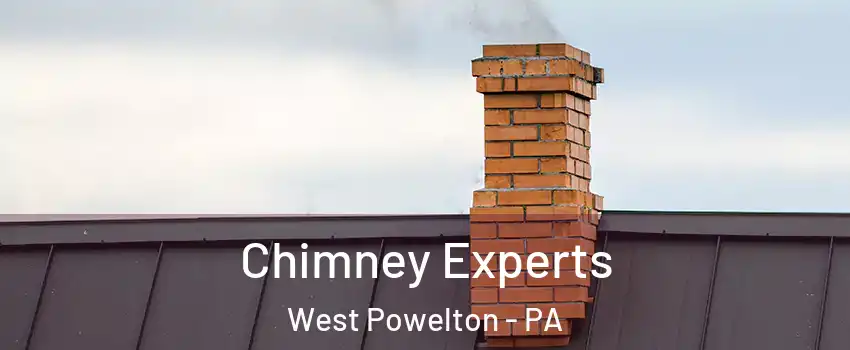 Chimney Experts West Powelton - PA