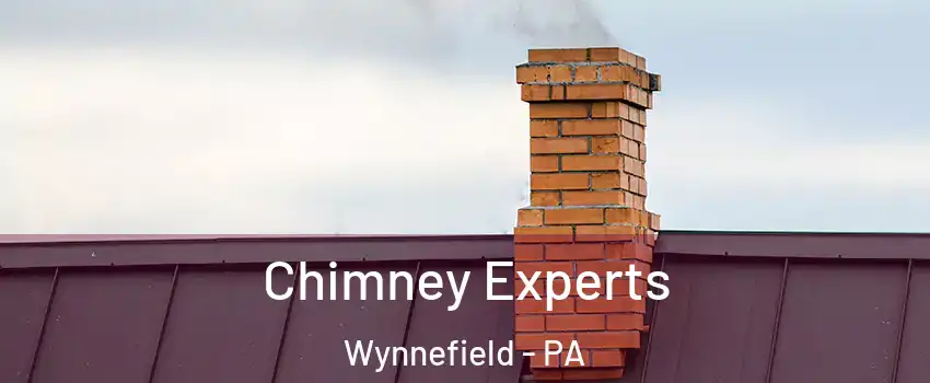 Chimney Experts Wynnefield - PA